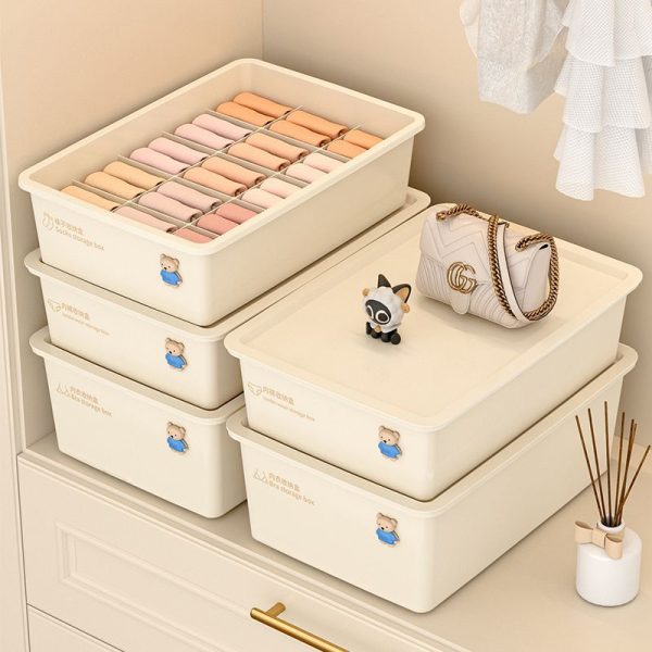 下着収納ボックス 靴下・ブラジャー収納 3in1 メイン画像